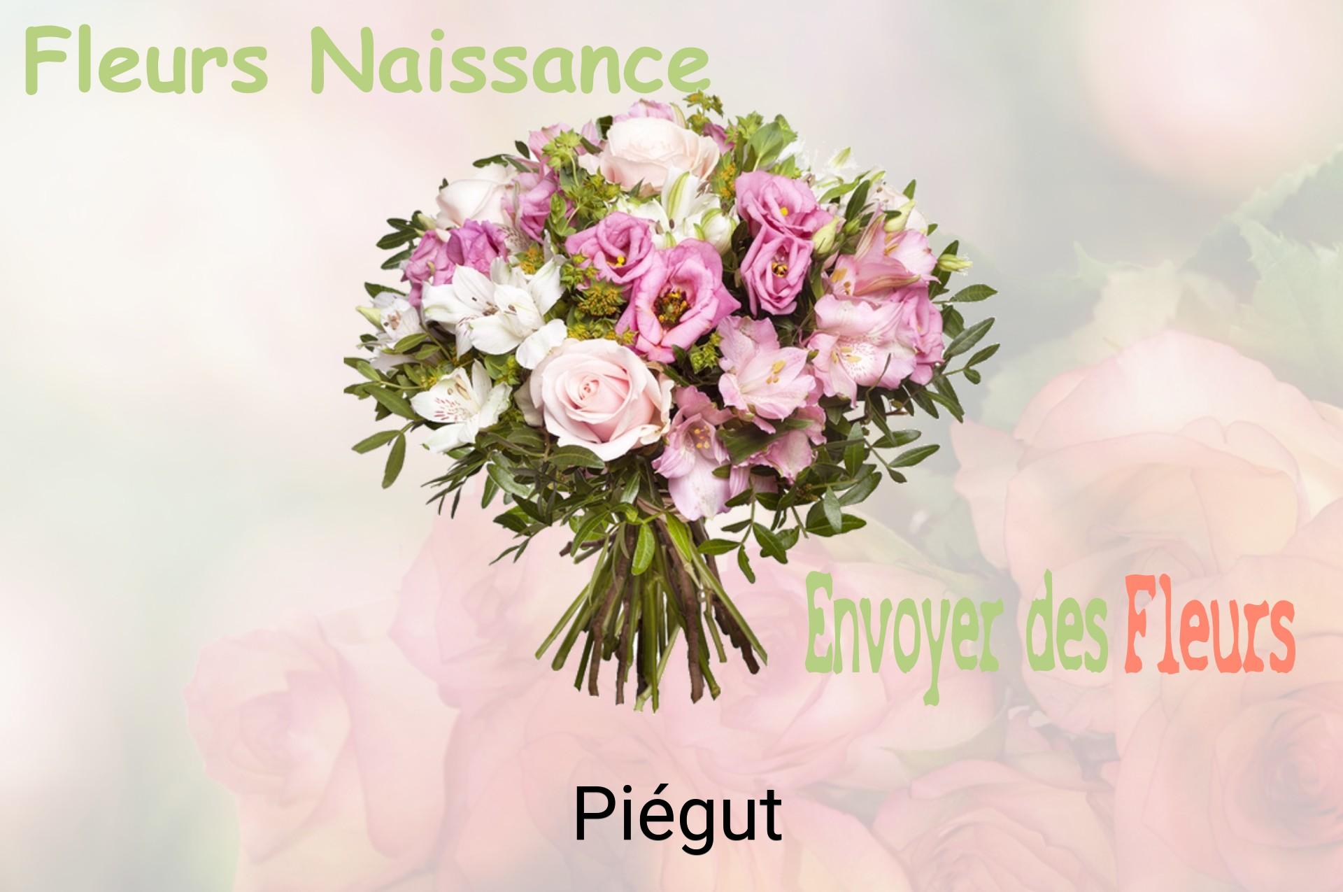 Bouquet de fleurs de naissance livré à Piégut
